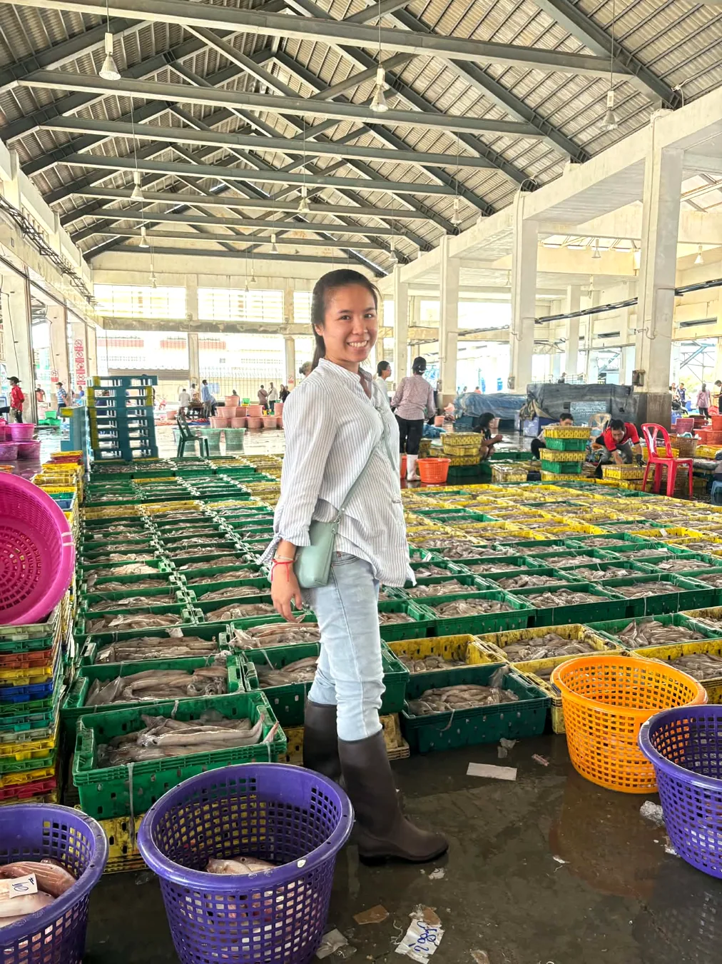 การจัดหาสินค้าอาหารทะเลในจังหวัดระนอง